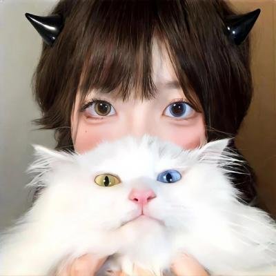 猫咪不跳舞